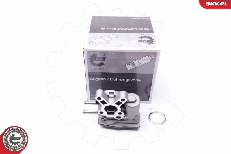 EGR Valve